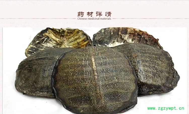 生血鳖甲3.jpg