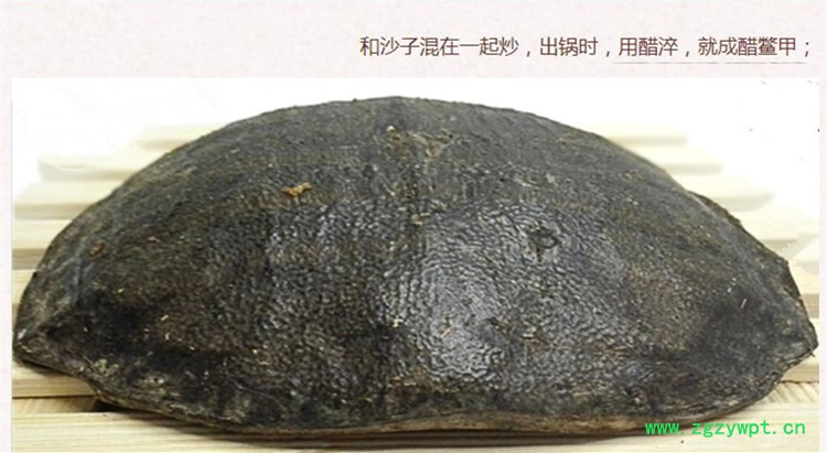 生血鳖甲5.jpg