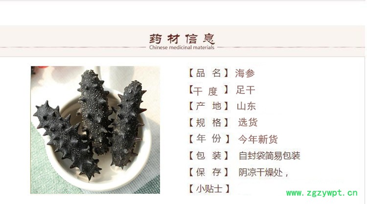小海参新.jpg