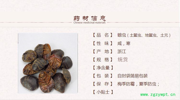 菟丝子1_副本.jpg