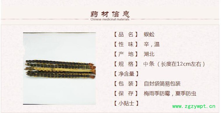 12厘米蜈蚣1_副.jpg