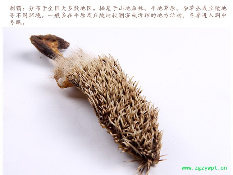 刺猬皮4.jpg