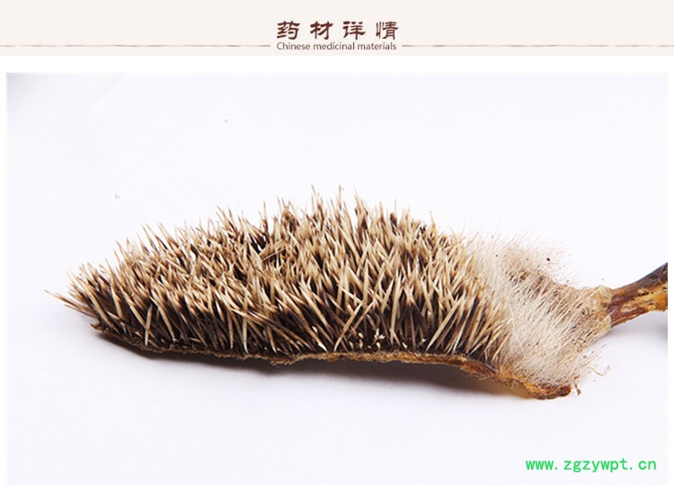 刺猬皮2.jpg