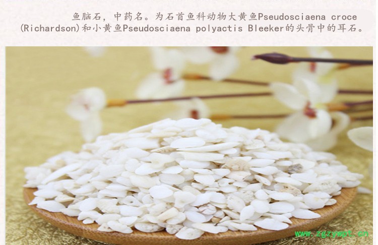 鱼脑石3.jpg