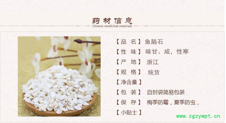 鱼脑1.jpg