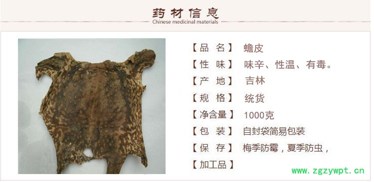 蟾皮1.jpg