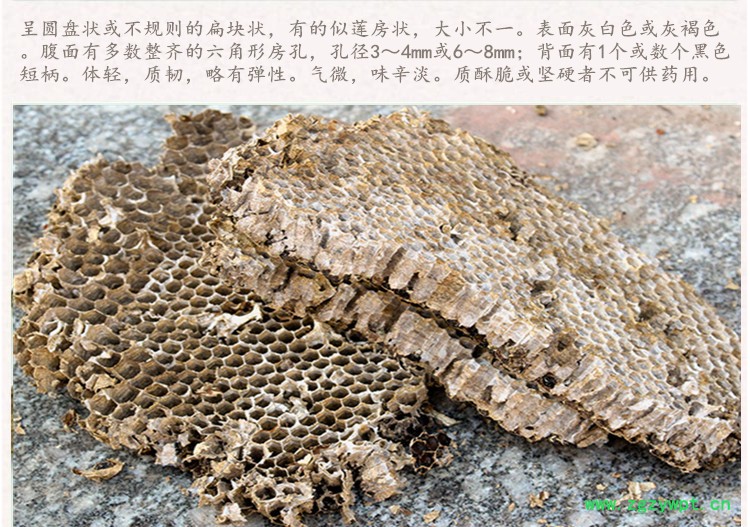 蜂房4.jpg