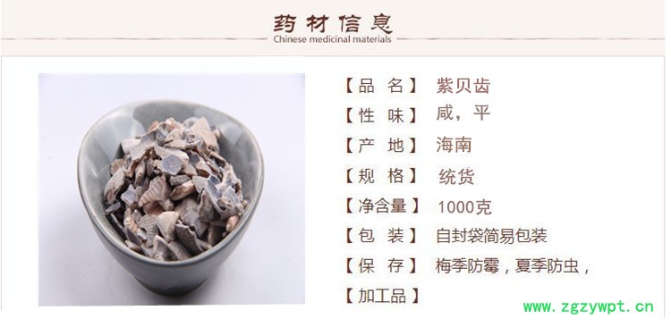 紫贝齿1.jpg