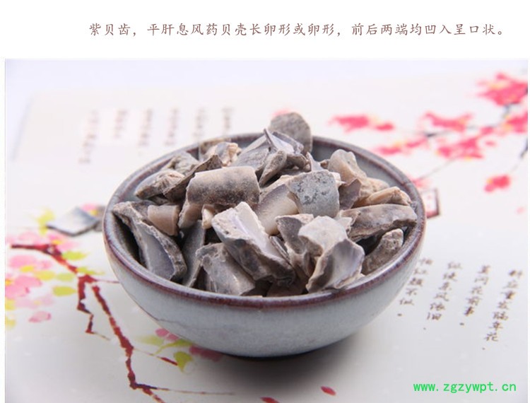 紫贝齿3.jpg
