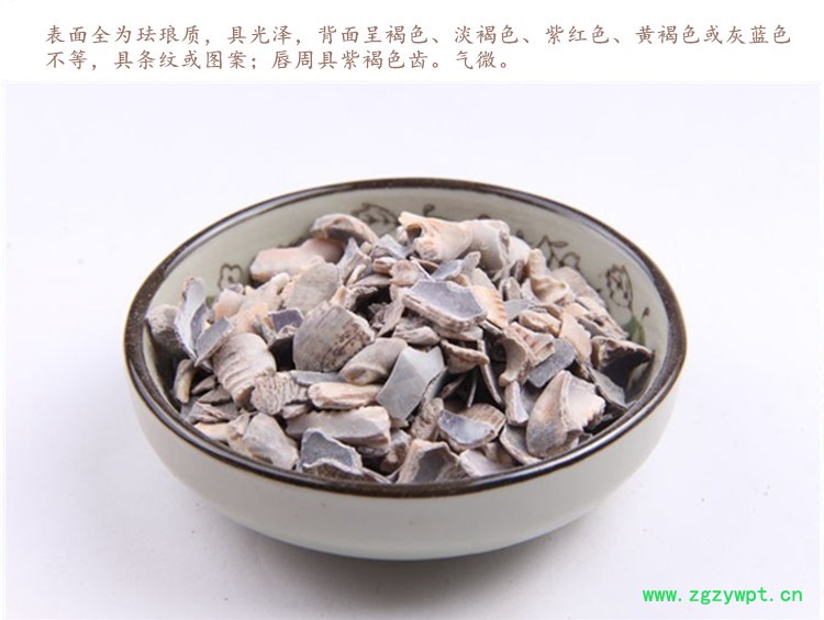 紫贝齿4.jpg