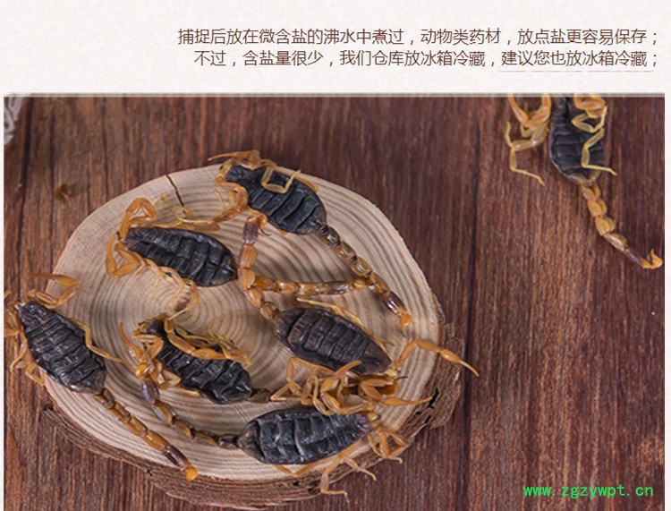 清水全蝎淡盐3.jpg