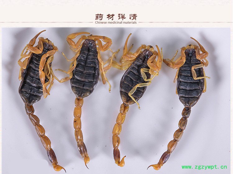 清水全蝎淡盐2.jpg