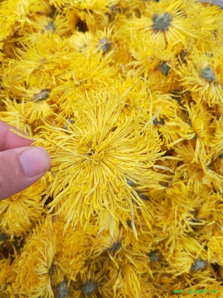 IMG20191201083358.jpg