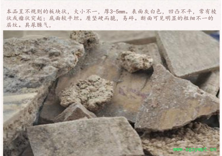 人中白4.jpg