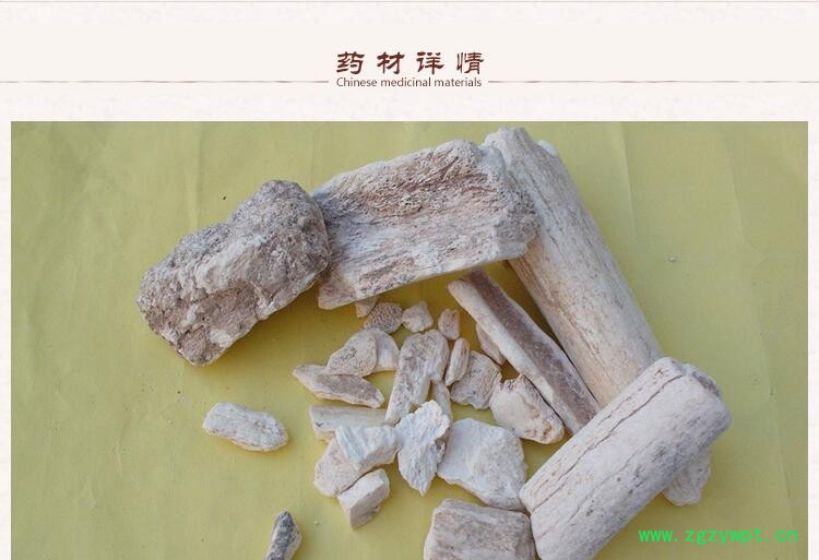 龙骨3.jpg