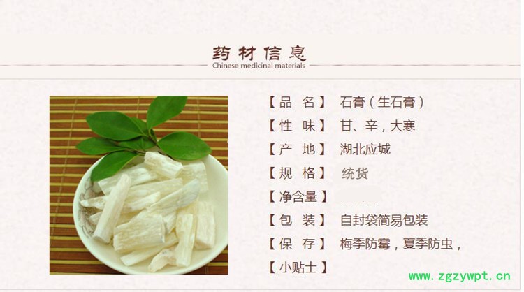 石膏1_副本.jpg