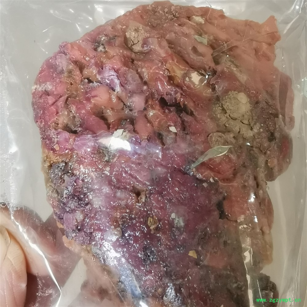 阿魏_副本.jpg