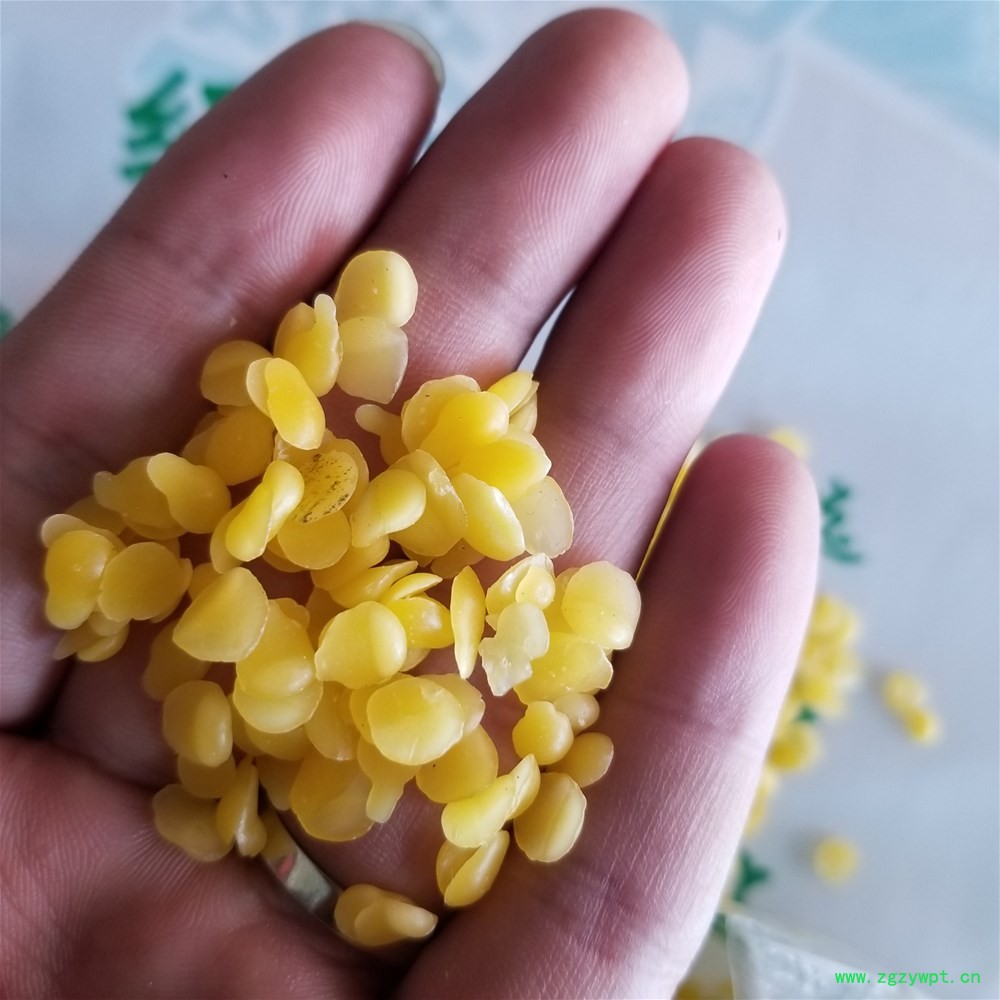 20190331_113458.jpg