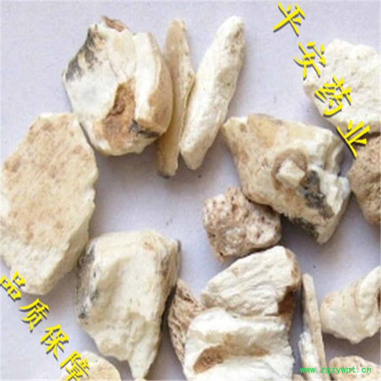 龙齿_副本.jpg