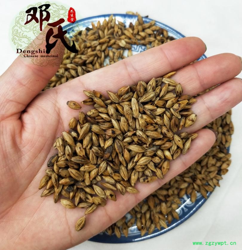 大麦茶.jpg
