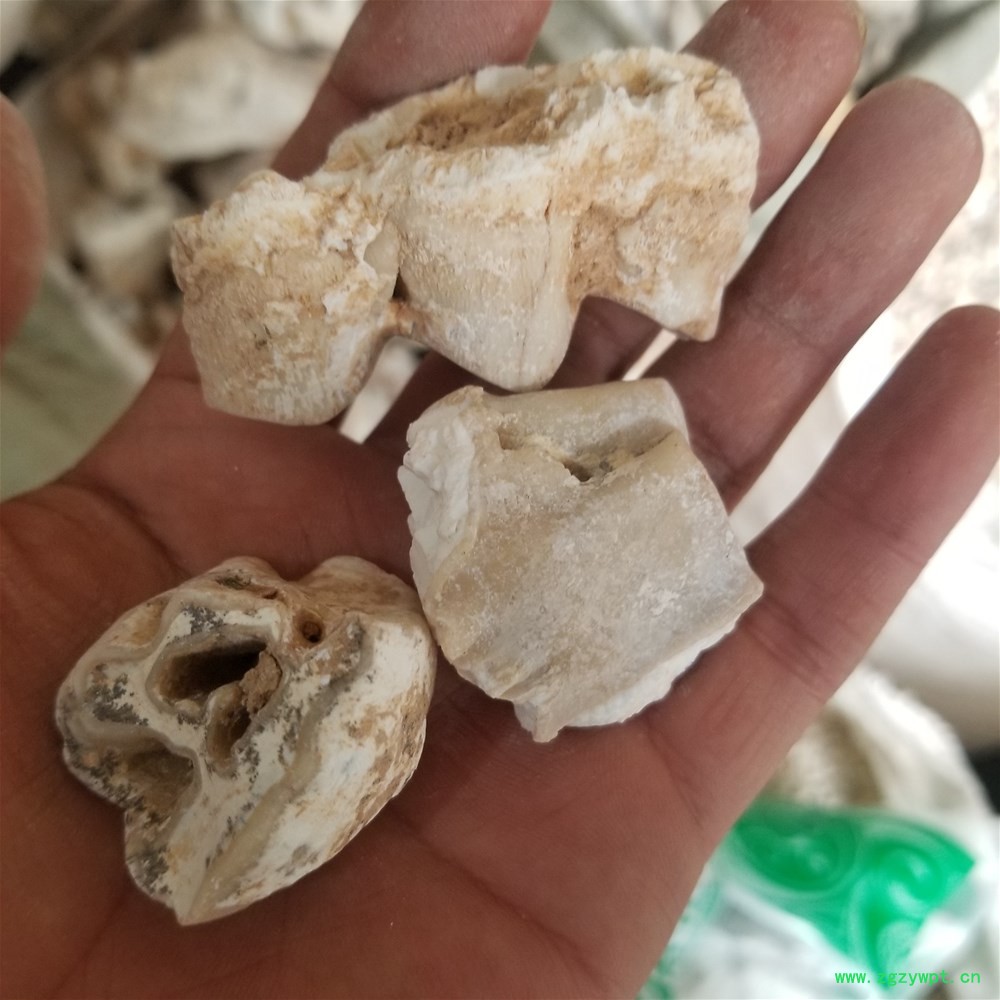 20190328_141240.jpg