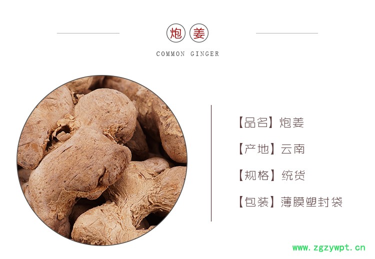 炮姜22_01.jpg