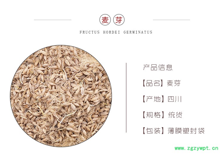 详情页麦芽_01.jpg