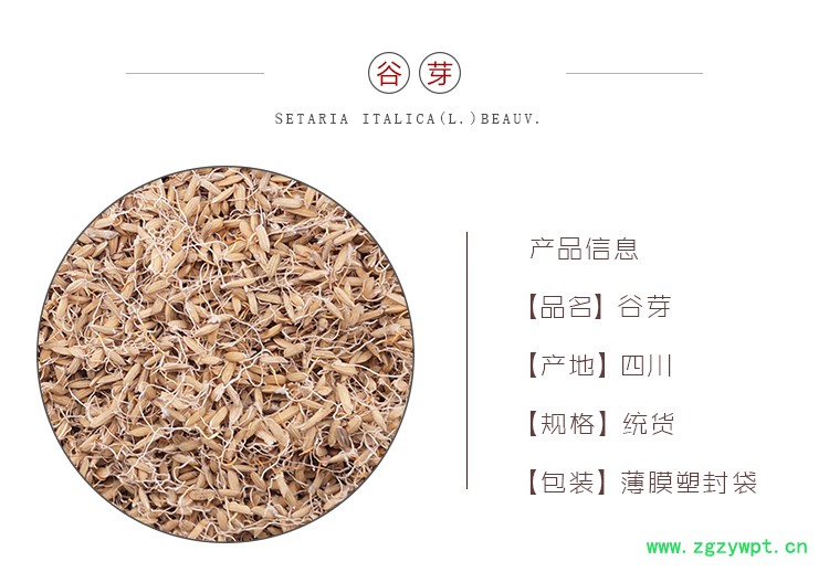 详情页谷芽_01.jpg