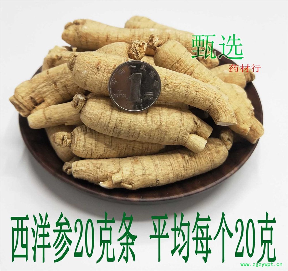 西洋参20克条水印1.jpg