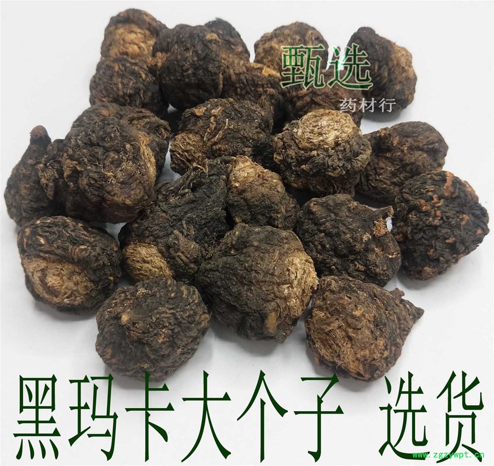 黑玛咖大选个水印1.jpg
