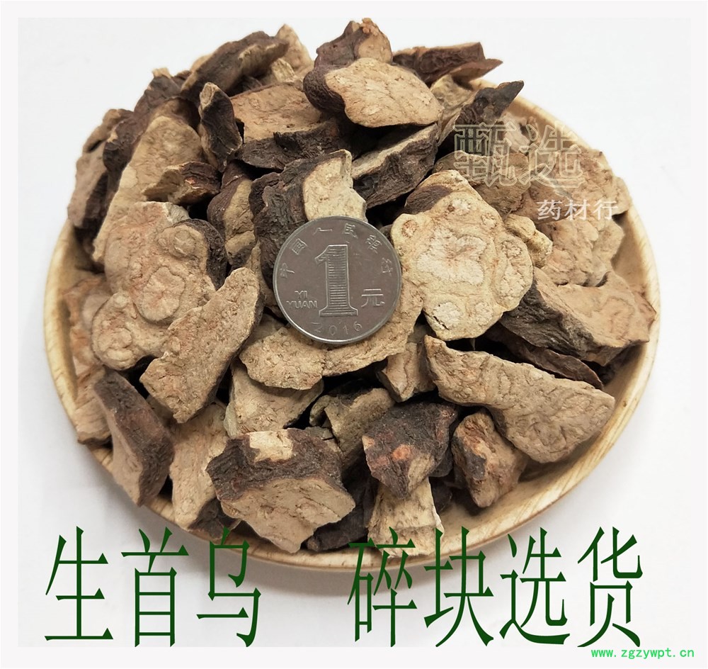 生首乌碎块水印1.jpg