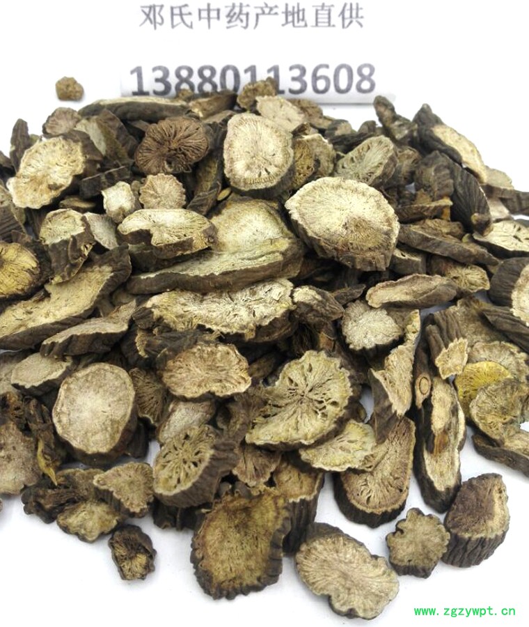 chishaoal09.jpg