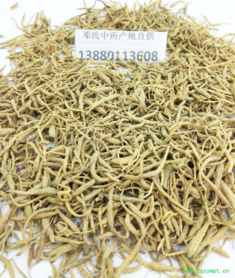 taizishenzhongtongal09.jpg