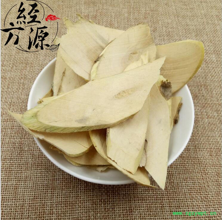 接骨木11.jpg