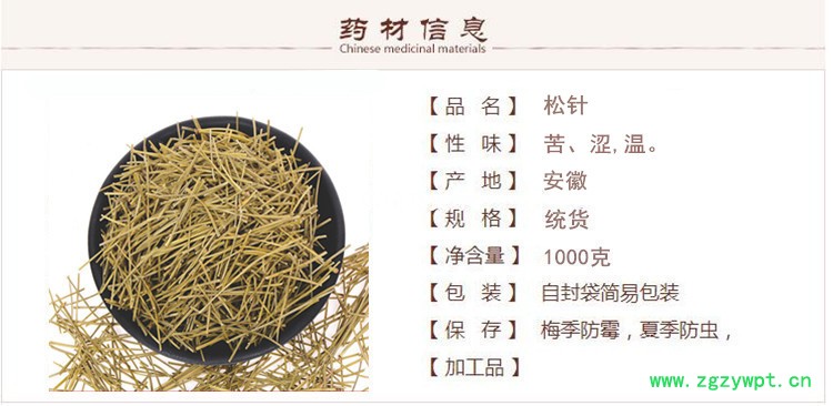 松针1.jpg