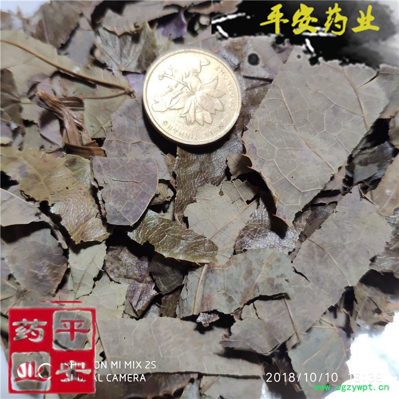 淫羊藿四川35吕屋~06_副本.jpg