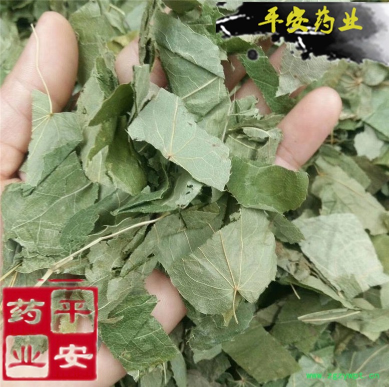 淫羊藿新货_副本.jpg
