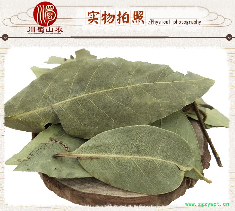 cstcssnxiangyetonghuo07.jpg