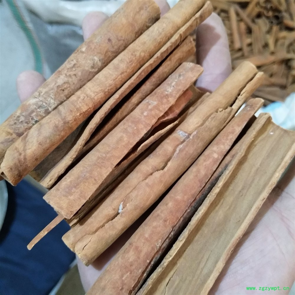 QQ图片20181030172142.jpg