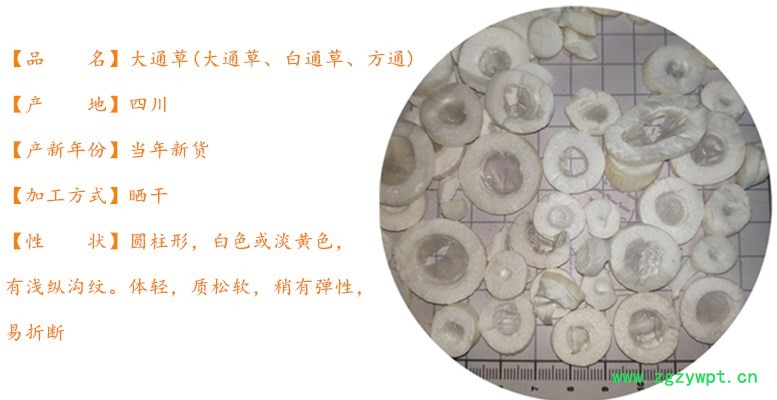 未命名_副本长图.jpg