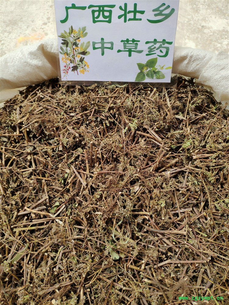 IMG_20190811_122906.jpg IMG_20190811_122906.jpg