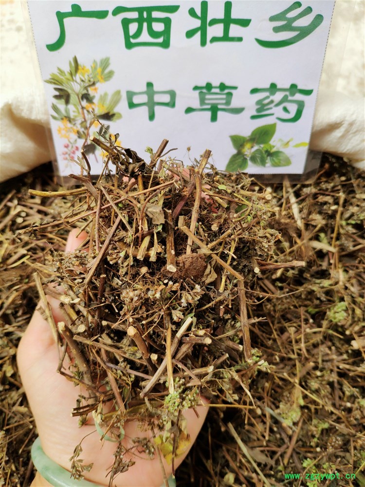 IMG_20190811_122946.jpg IMG_20190811_122946.jpg