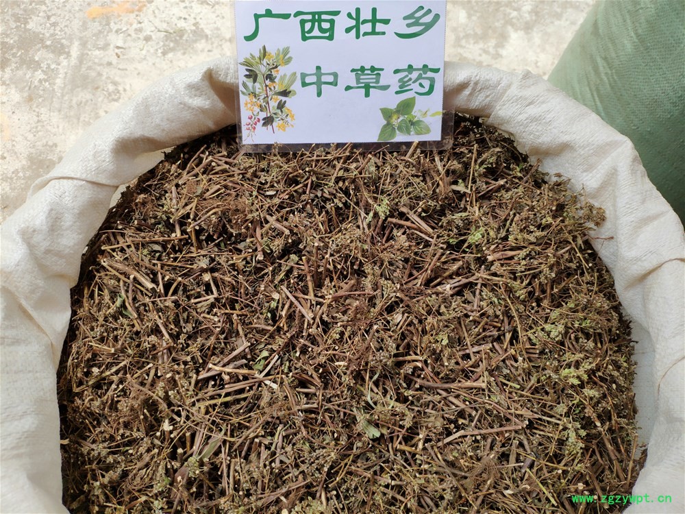 IMG_20190811_122842.jpg IMG_20190811_122842.jpg