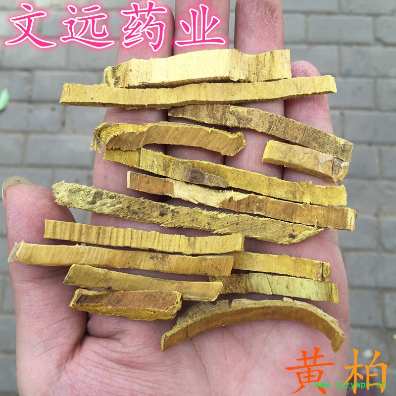 QQ图片20190529110205_副本.jpg