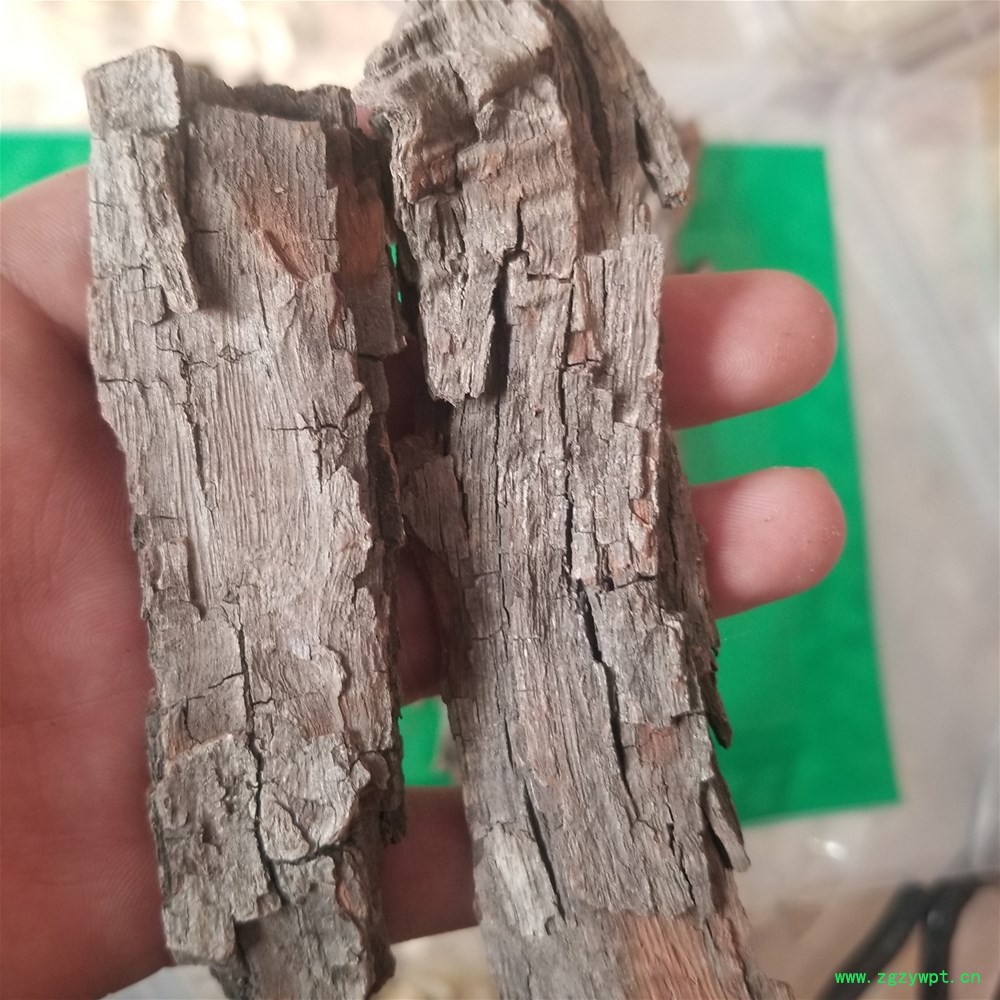 20190331_140416.jpg