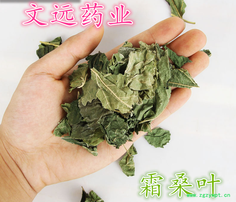QQ图片20190606132855_副本.png