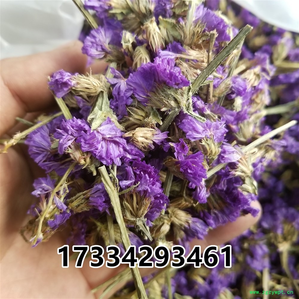 20190312_170859.jpg