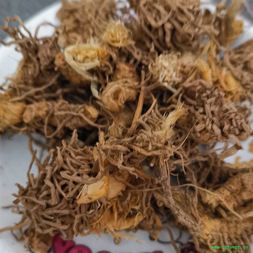 韭菜根7_副本.jpg