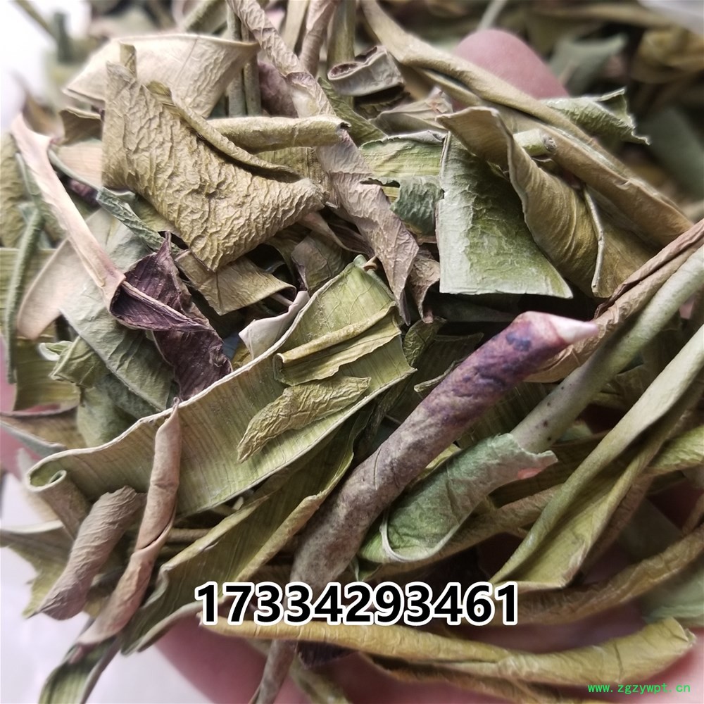 芦荟茶 25.jpg