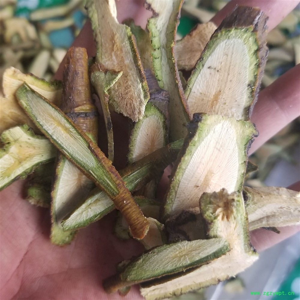 20190327_133131.jpg